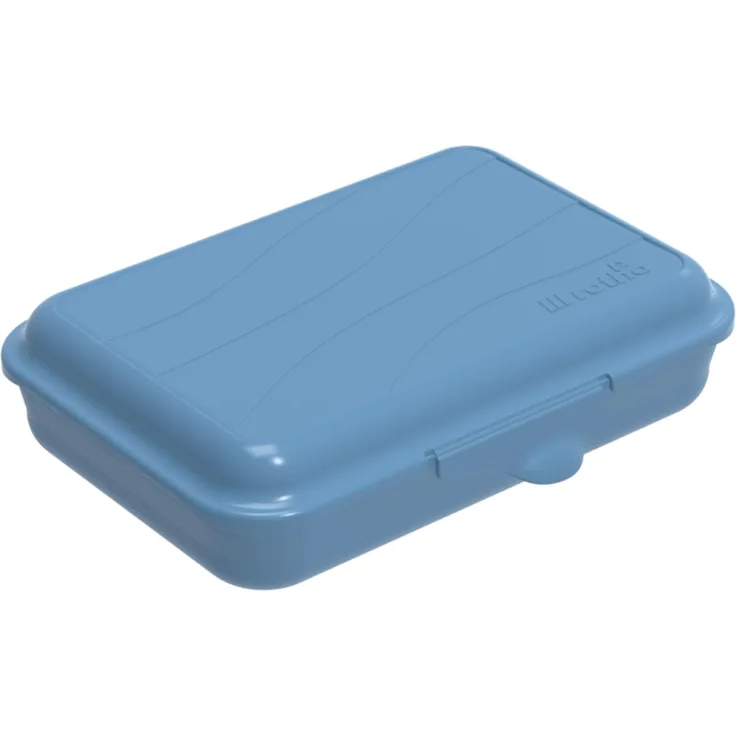 Rotho Fun flache Vesperdose 0,45l mit Klickverschluss, Kunststoff PP BPA-frei, blau, 0,45l 16,0 x 11,0 x 4,0 cm