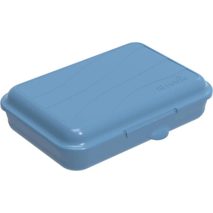 Rotho Fun flache Vesperdose 0,45l mit Klickverschluss, Kunststoff PP BPA-frei, blau, 0,45l 16,0 x 11,0 x 4,0 cm