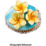 Silikomart Mini Frangipani Flower