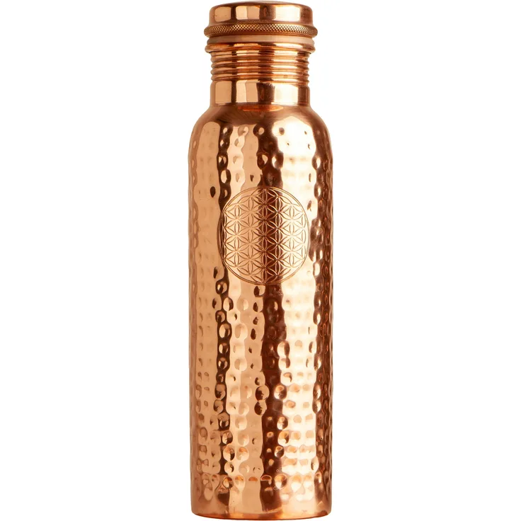 Step By Step Isolierte Edelstahl-Trinkflasche – 0,5 L, Auslaufsicher, BPA-frei, Für Sprudel & Co., Braun, Perfekt Für Schule & Freizeit