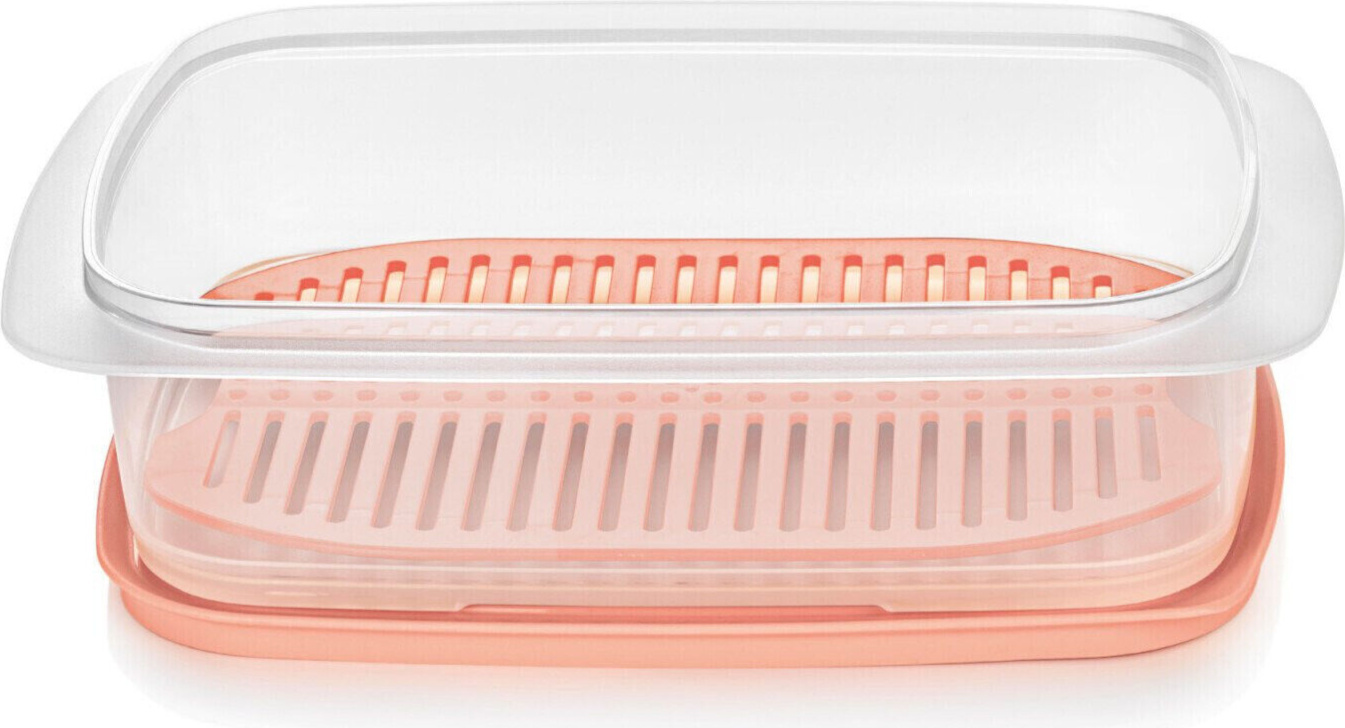 Tupperware Cool'N Fresh Set Wurstbehälter Kühlschrank Box, 1,5 Liter, mit Frischegitter, transparent: Tests, Infos & Preisvergleich