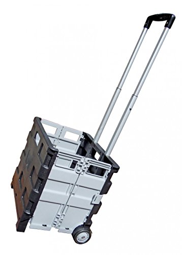 Kistenwagen, zusammenklappbar, mit Teleskopgriff, max. Traglast 25 kg