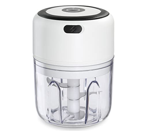 DayPlus 300W Küchenmaschine - Fleischwolf Und Zerkleinerer Mit 2L Glasschale