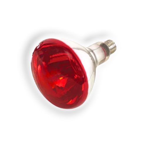 Kerbl Infrarotlampe für Tiere, spritzwassergeschützt, 150 W, rot, 5000 Betriebsstunden