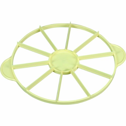 Schneider Tortenteiler einfache Einteilung 12 Teilung hygienischer Kunststoff