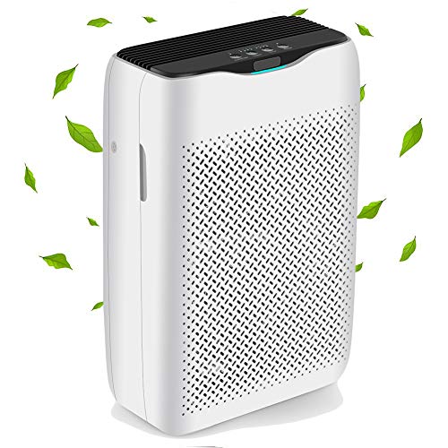 COOCHEER Luftreiniger mit HEPA-Kombifilter & Aktivkohlefilter und Auto Timer, 99,97% Filterleistung perfekt und CADR 258m³/h, für Allergie, Wohnung, Raucherzimmer