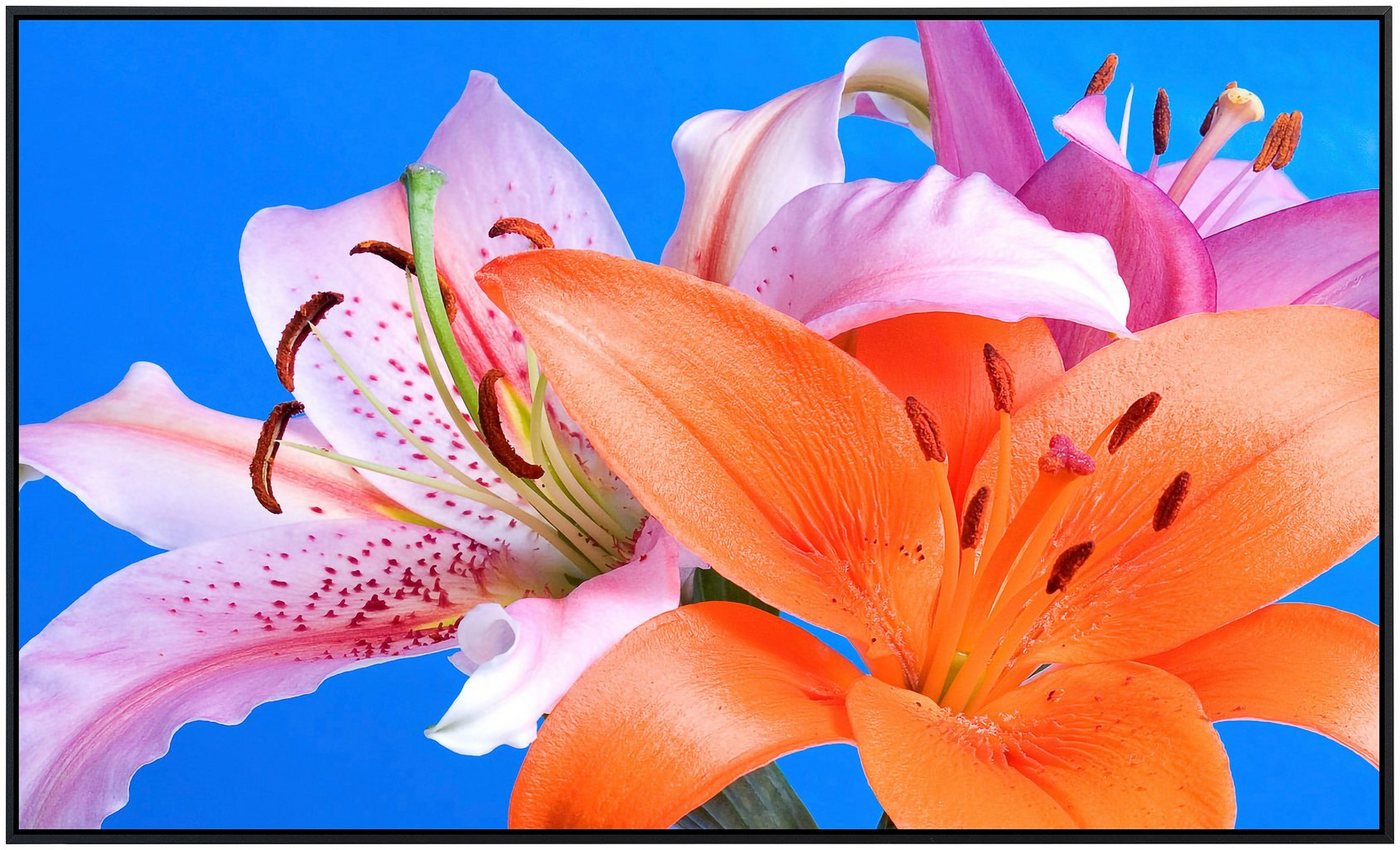 Papermoon Infrarotheizung 'Blumen', sehr angenehme Strahlungswärme 900 W, 60 x 120 x 3 cm, Infrarotheizung