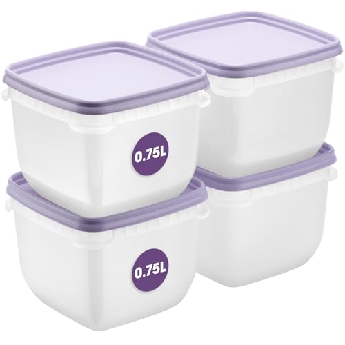 SmartStore Frischhaltedosen 0.75L 4er Set, BPA-freie Aufbewahrungsboxen für Kühlschrank und Gefrierschrank, stapelbar und spülmaschinenfest