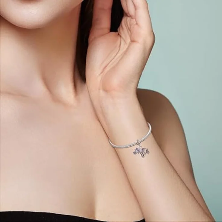 Pandach Charm Anhänger für Armband und Halskette, 925 Sterling Silber mit Zirkonia-Steinen, kompatibel mit Europäischen Charms für Frauen und Mädchen – Bild 4