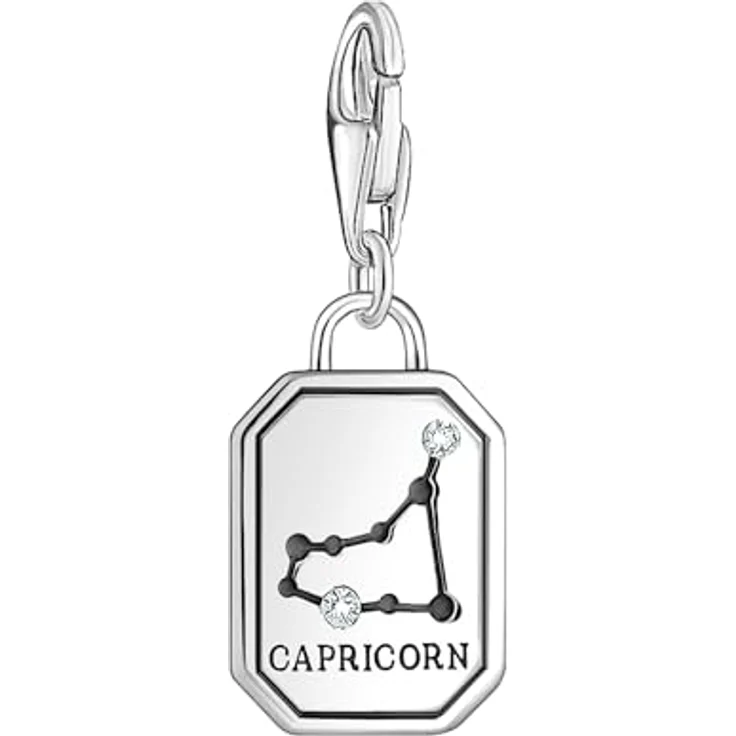 THOMAS SABO Charm-Anhänger Steinzeichen Steinbock, 925er Sterlingsilber geschwärzt mit Steinen – Bild 2
