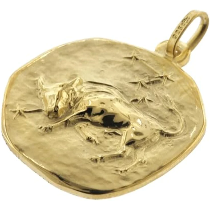 trendor Stier Sternzeichen Herren-Halskette, goldplattierter Silber-Anhänger Ø 20 mm auf vergoldeter Kette, 60 cm, zeitloser Halsschmuck, Geschenkidee – Bild 2