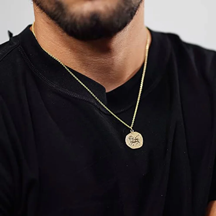 trendor Widder Sternzeichen-Halskette Ø 20 mm, goldplattierter Silberanhänger auf vergoldeter Silberkette, 50 cm, zeitloser Halsschmuck für Herren, Geschenkidee – Bild 5