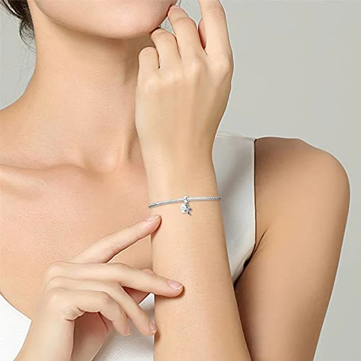 Pandach Charm Anhänger für Armband aus 925 Sterling Silber mit Zirkonia, kompatibel mit europäischen Armbändern und Halsketten, ideales Geschenk für Frauen und Mädchen – Bild 5