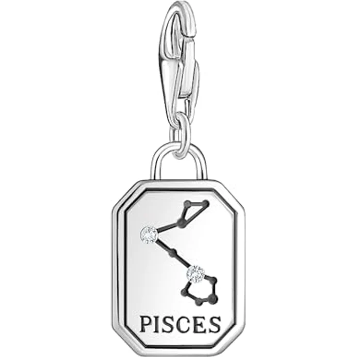 THOMAS SABO Charm-Anhänger Sternzeichen Fische, 925er Sterlingsilber geschwärzt mit Steinen, passend für Charm Armbänder und Ketten – Bild 2