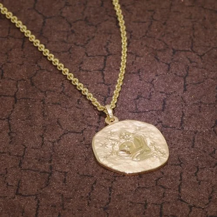 trendor Wassermann Sternzeichen Herrenkette Gold auf Silber, Ø 20 mm, 50 cm, Tierkreiszeichen Halskette aus 925 Silber, zeitloser Halsschmuck, perfekte Geschenkidee – Bild 3