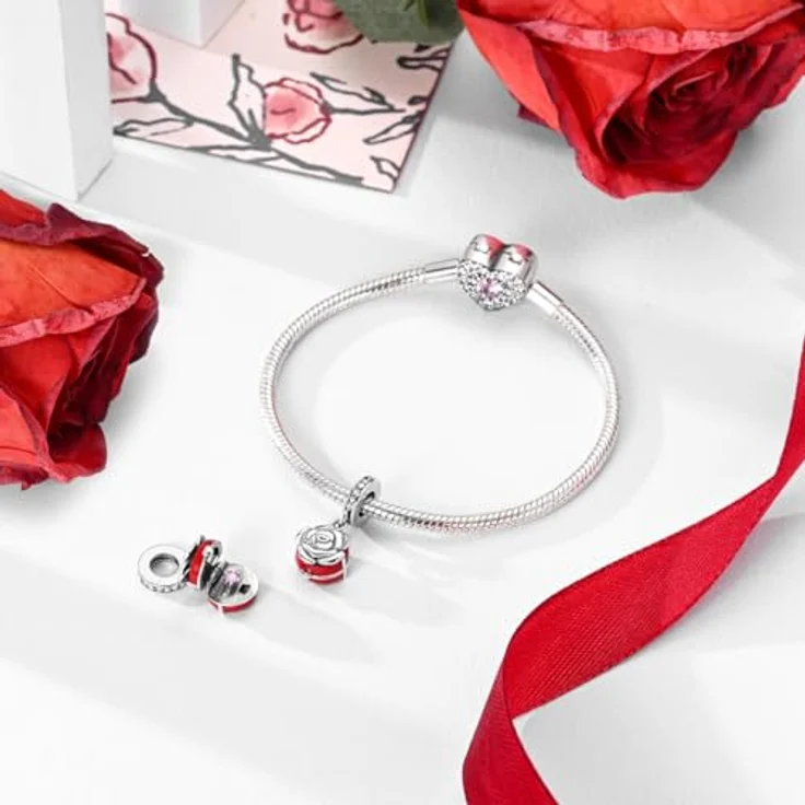 Pandach Charm Anhänger für Damen, 925 Sterling Silber mit Zirkonia-Steinen, kompatibel mit europäischen Armbändern und Halsketten – Bild 3
