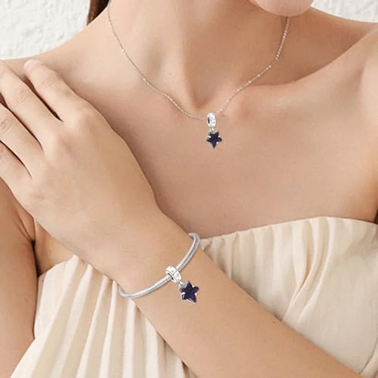 Ruaidhra Sterling Silber S925 Galaxie Stern Charm Set mit Beads, Blume, Glühwürmchen und Schildkröte für Armbänder, Geschenkbox für Damen und Familie – Bild 4