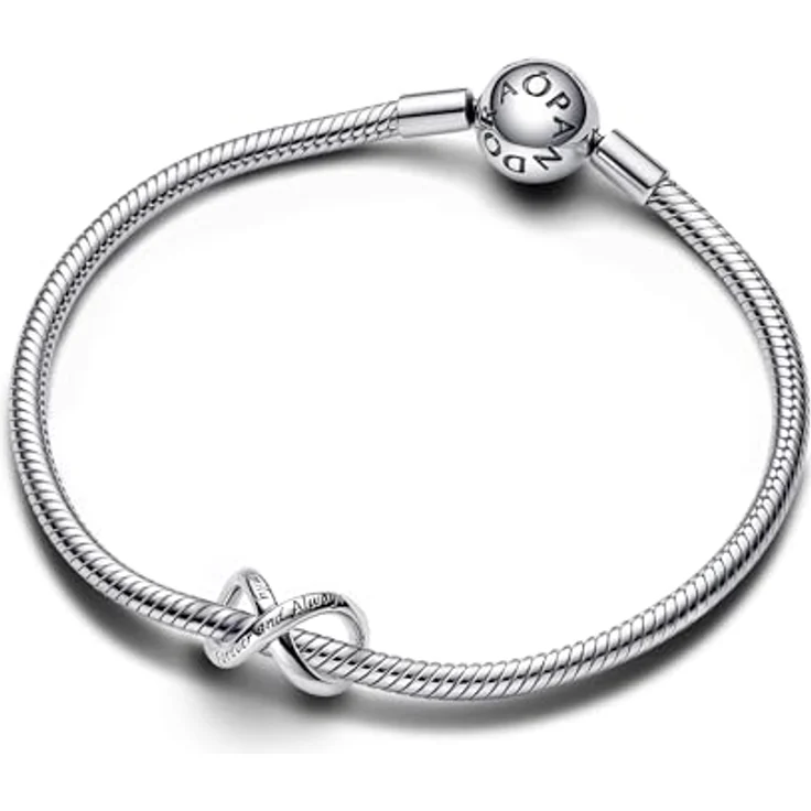 Pandora 793243C00 Charm Für Immer & Ewig, Bead-Charm aus 925 Sterlingsilber mit Unendlichkeitssymbol und Gravuren "Family" und "Forever and Always" – Bild 3
