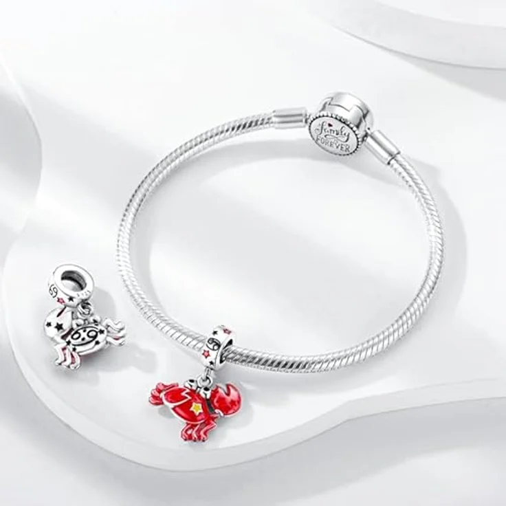 Pandach Damen Charm Anhänger Sternzeichen 925 Sterling Silber, 12 Sternbilder Charms Beads für Pandora Armband und Halskette – Bild 3