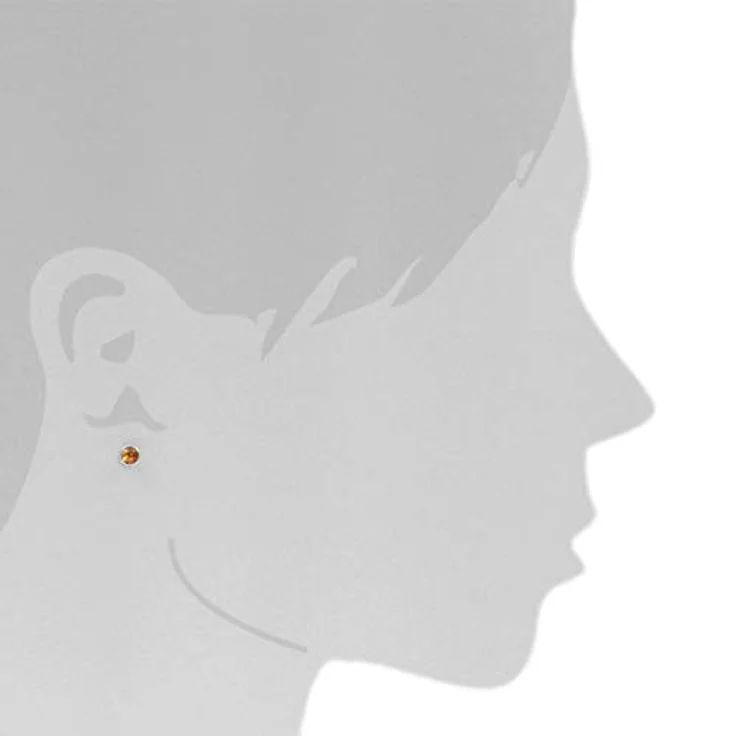 OSTSEE-SCHMUCK Ohrstecker Classic, 5 mm Silber 925 mit Bernstein, 2-tlg. – Bild 3