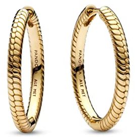 Pandora Creolen Moments 269532C00