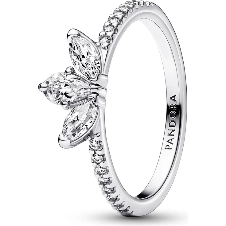 Pandora 192392C01, Damenring Funkelndes Herbarium aus 925 Sterlingsilber mit Zirkonia, Größe 54/17,2 – Bild 1