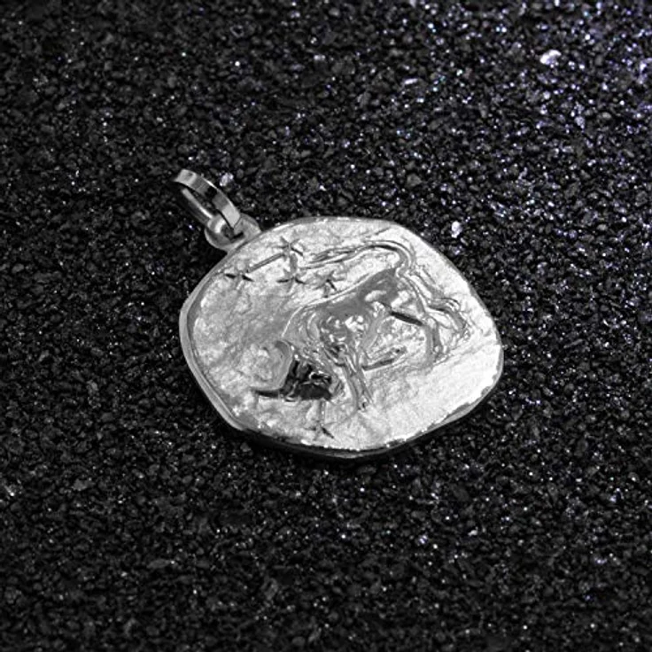 trendor Sternzeichen Stier Kettenanhänger 925 Silber, rund 20 mm, poliertes Motiv auf mattiertem Hintergrund, in Geschenkverpackung – Bild 3