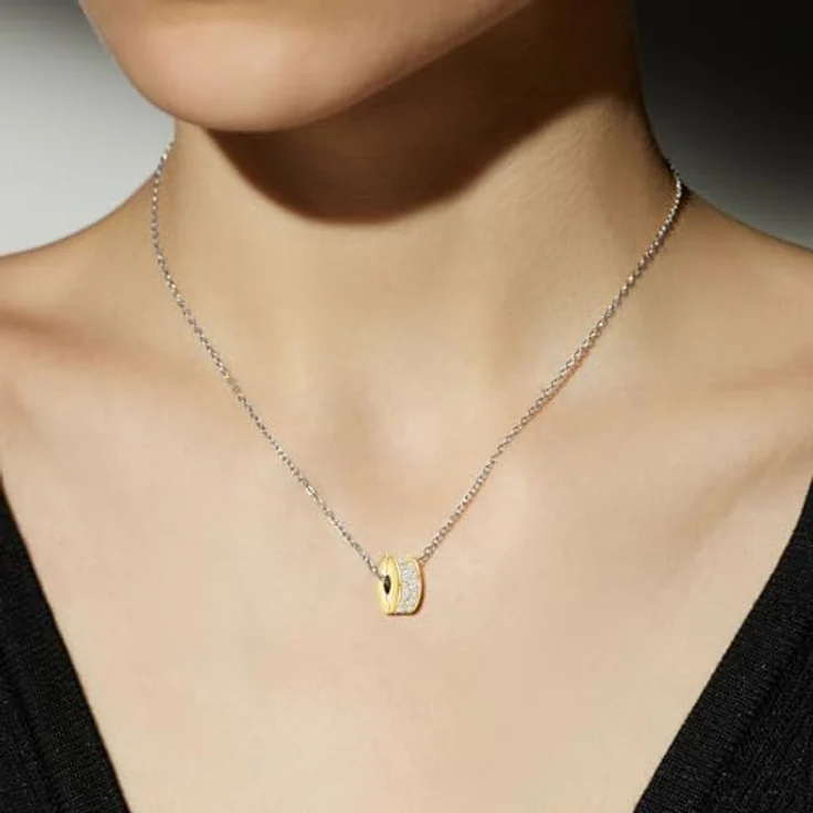 Ruaidhra Sterling Silber S925 Gold Clip Charms, Family Blume Glühwürmchen Moments Anhänger für Armbänder, Sicherheitskette, Geschenkbox für Frauen Geburtstag – Bild 5