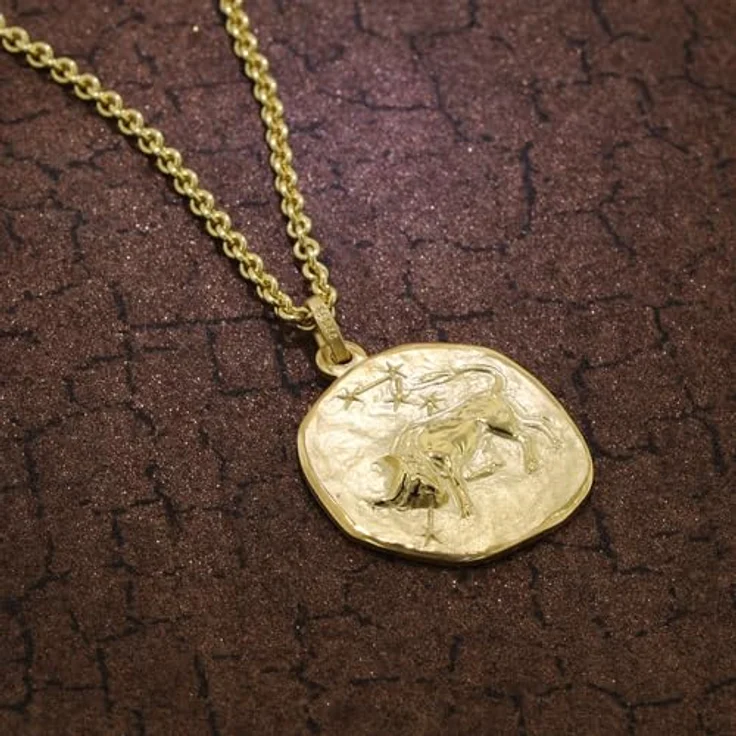 trendor Stier Sternzeichen Herren-Halskette, goldplattierter Silber-Anhänger Ø 20 mm auf vergoldeter Kette, 60 cm, zeitloser Halsschmuck, Geschenkidee – Bild 3