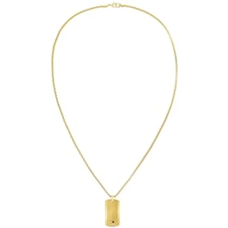 Tommy Hilfiger Jewelry Herren-Halskette aus Gelbgold mit Gravierter Plakette und Karabinerverschluss, 55,88 cm
