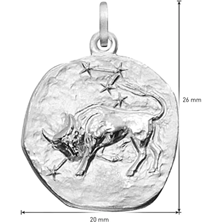 trendor Sternzeichen Stier Kettenanhänger 925 Silber, rund 20 mm, poliertes Motiv auf mattiertem Hintergrund, in Geschenkverpackung – Bild 5