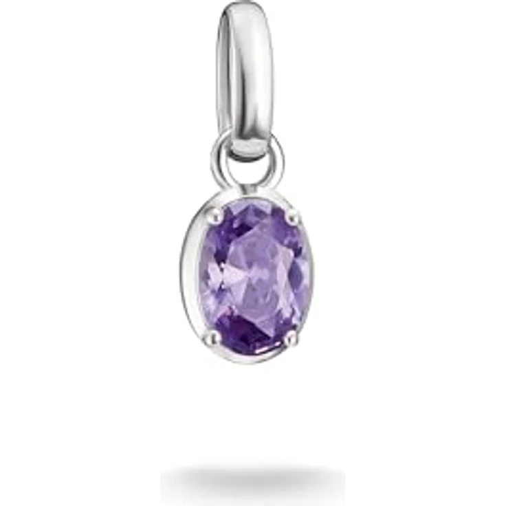 THOMAS SABO Charm-Anhänger 925er Sterlingsilber, Eleganter Charm Club mit Öse für Armbänder und Ketten – Bild 1