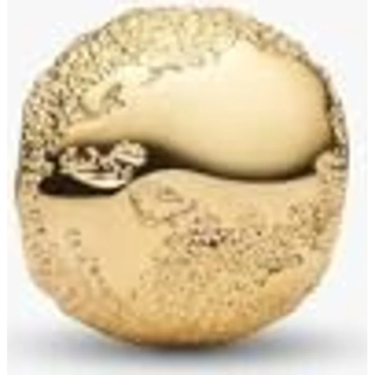 PANDORA Charm Strukturierter Globus Mini, goldfarbenes Bead mit einzigartigem Design – Bild 3