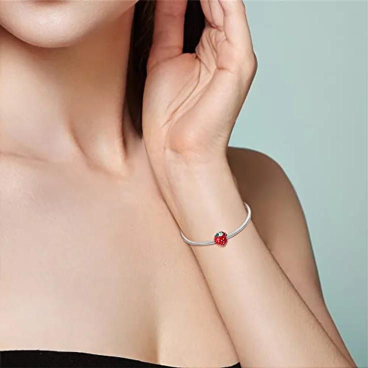 Pandach Charm Anhänger 925 Sterling Silber mit Zirkonia-Steinen, kompatibel mit europäischen Armbändern und Halsketten für Frauen und Mädchen – Bild 4