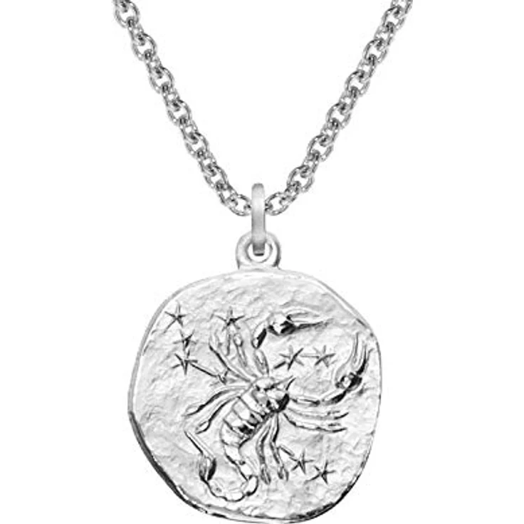 trendor Sternzeichen Skorpion Halskette 925 Silber, Ø 16 mm Anhänger mit 60 cm Kette, anlaufgeschützt rhodiniert, für Damen, Herren und Kinder – Bild 1