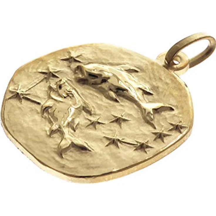 trendor Fische Sternzeichen Herrenkette Gold auf Silber, Ø 20 mm, 50 cm, zeitloser Halsschmuck aus 925er Silber, elegante Geschenkidee – Bild 2