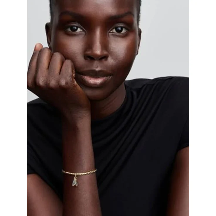 PANDORA Charm-Anhänger Zikade, goldfarben mit Zirkonia, Tiermotiv – Bild 6