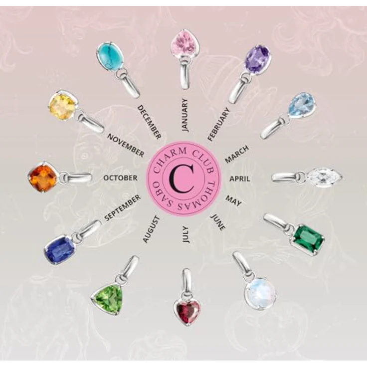 THOMAS SABO Connect Charm Pendant Birthstone Collection, 925 Sterling Silber mit Monatsgravur für April – Bild 5