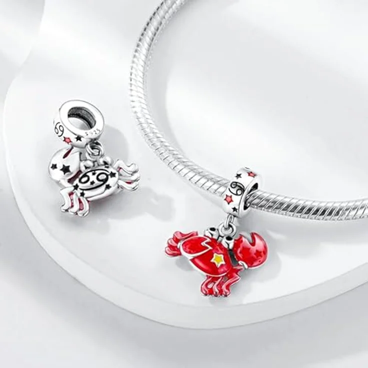 Pandach Damen Charm Anhänger Sternzeichen 925 Sterling Silber, 12 Sternbilder Charms Beads für Pandora Armband und Halskette – Bild 2
