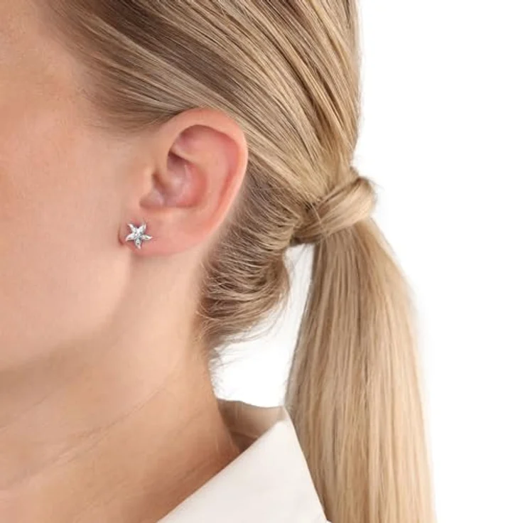 Amor Ohrstecker Damen, Seestern-Motiv aus 925 Sterling Silber, 9mm, mit Zirkonia-Steinen, in Geschenkbox, Gold – Bild 2