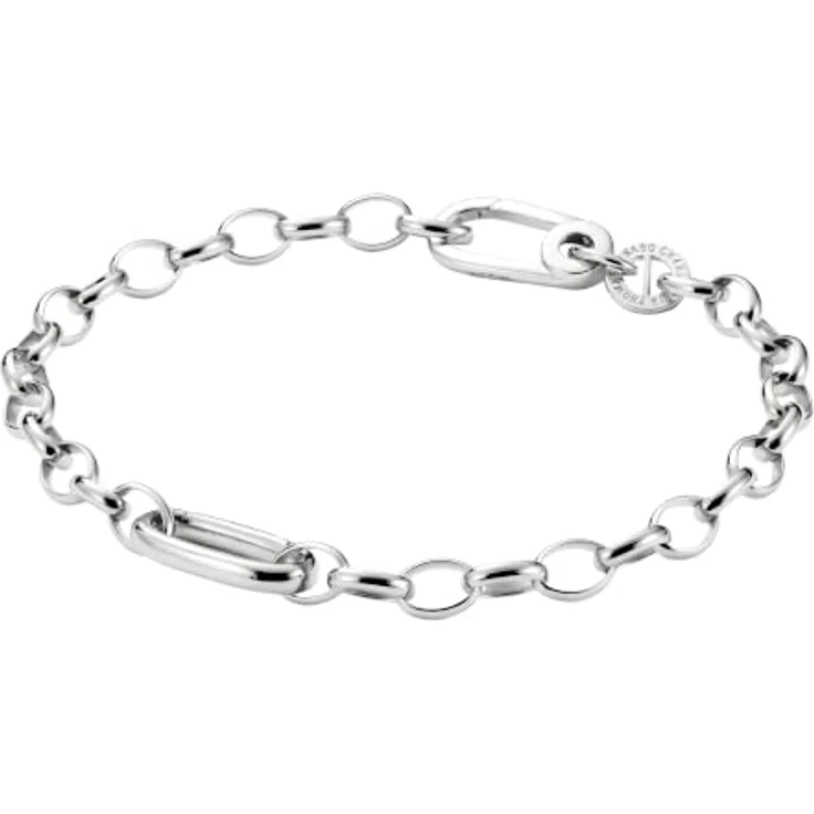 THOMAS SABO Damen Charm-Armband Connect, silberfarben mit Karabinerverschluss und Ankerkette, C1202-M02-21-L17