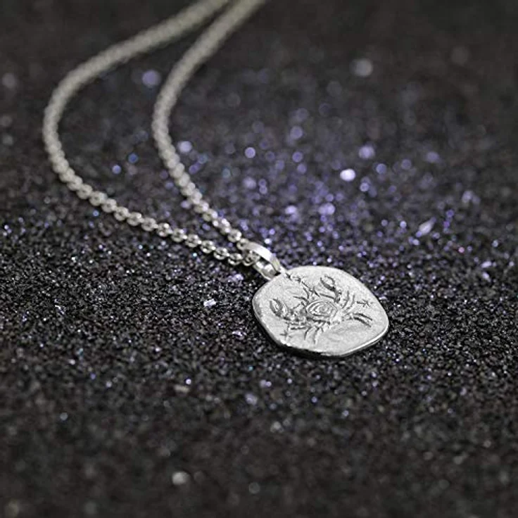 trendor Sternzeichen Krebs Halskette 925 Silber mit Anhänger Ø 16 mm, rhodiniert, 50 cm, für Damen, Herren oder Kinder – Bild 3