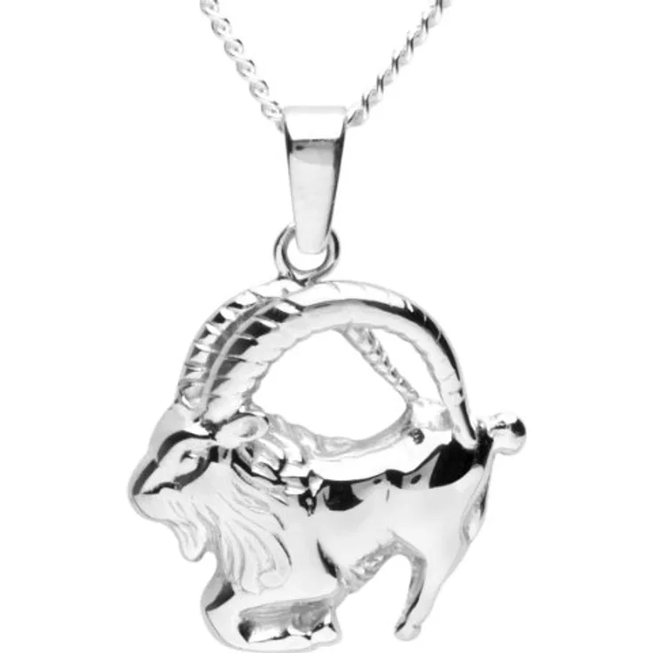 InCollections Unisex-Anhänger 925/000 Sterlingsilber mit Panzerkette 42 cm, Sternzeichen Steinbock, Federringverschluss
