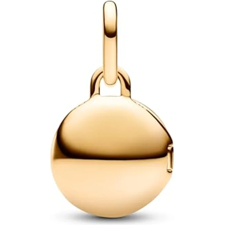 Pandora Charm Medaillon, Anhänger Moments SHINE-763066C01 – Bild 2