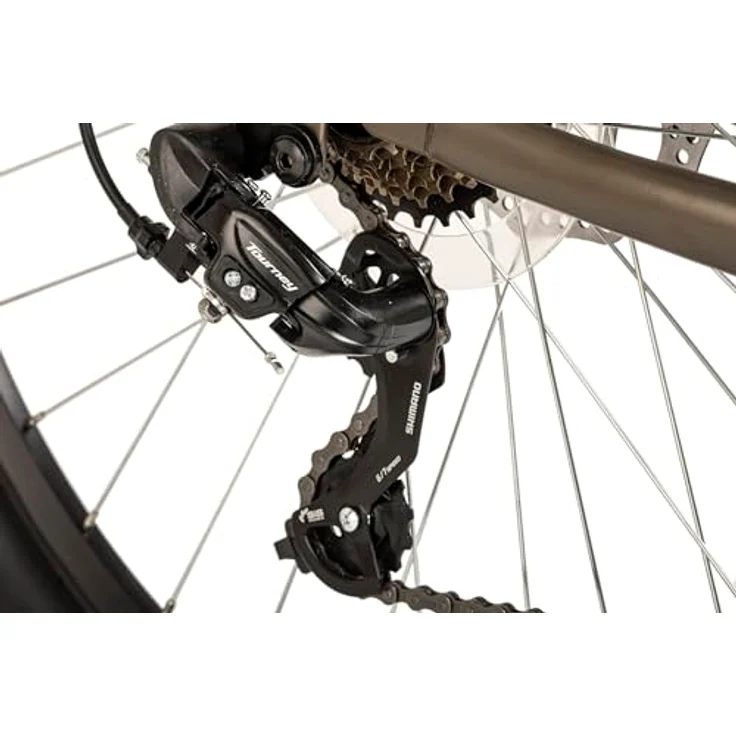 Wyld SHARP, 29" Hardtail-Mountainbike, Platinfarbe, 21 Gänge mit SHIMANO, Scheibenbremsen – Bild 4