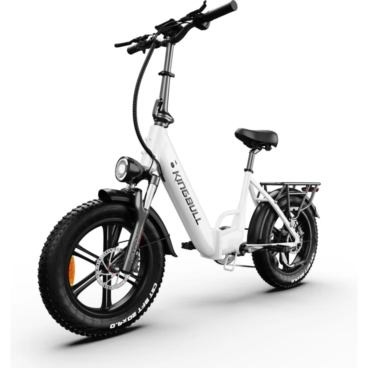 PIXAR Literider 2.0, 20 Zoll Fat E-Bike Tiefeinsteiger mit 250W Motor, 48V 13,5Ah Akku, Reichweite bis 90 km, Shimano 7-Gang, Traglast bis 180 kg