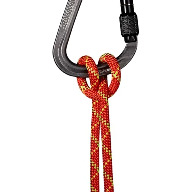 Mammut 8.0 Alpine Core Protect Dry Rope 60m, wasser- und schmutzabweisendes Kletterseil mit abriebfester Mittelmarkierung und Ready to climb-Funktion – Bild 3