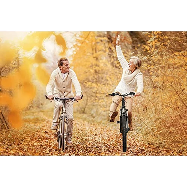 SachsenRAD E-SUV ATB All Terrain E-Bikes C5 Centro mit Diebstahlsicherung, CityBike Mittelmotor mit tiefem Einstieg, Bremslicht Alarmanlage, Elektrofahrrad Farbe Display StVZO Damen Herren Pedelec – Bild 3