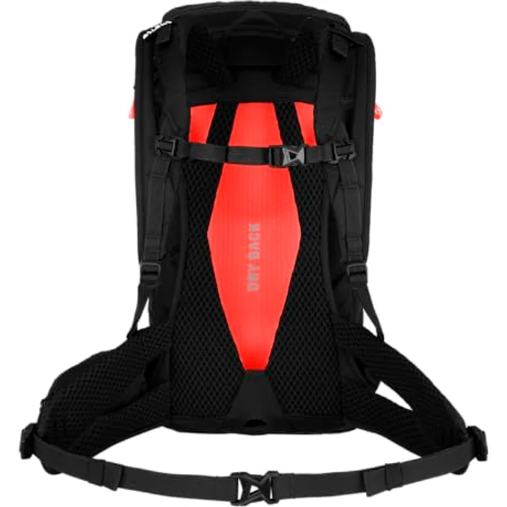 Salewa Alp Trainer 20L Rucksack, 55 cm, schwarz, 100% Polyamid, ideal für Wanderungen – Bild 2