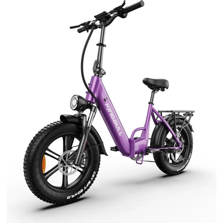 PIXAR Literider 2.0, 20 Zoll Fat E-Bike Tiefeinsteiger, 250W, 48V 13,5Ah Akku, bis 90 km Reichweite, Shimano 7-Gang, Traglast bis 180 kg